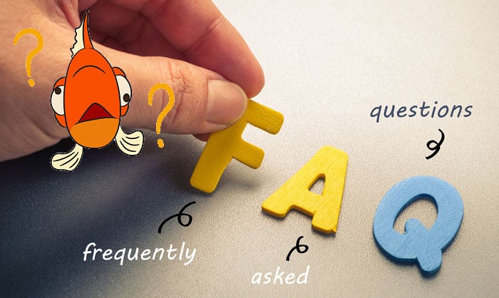 Amoskeag-Fishways-FAQs