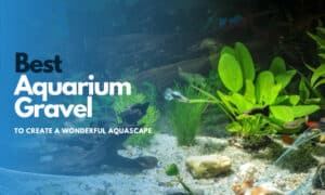 Best Aquarium Gravel
