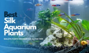 best silk aquarium plants