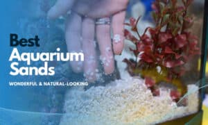 best aquarium sand