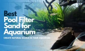 best pool filter sand for aquarium